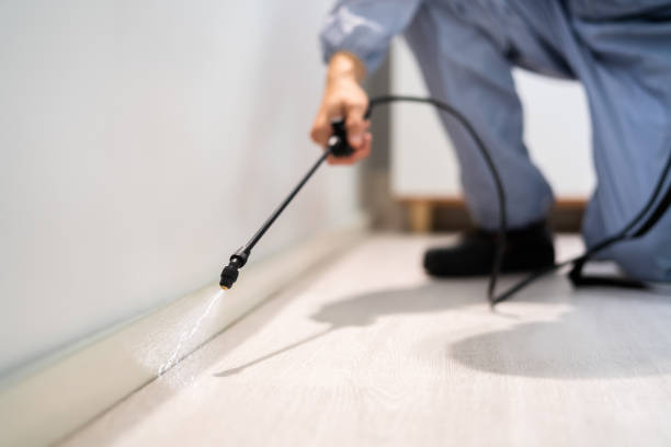 Licensed Cockroach Control service in McLean County County, IL - Nex Pest Control