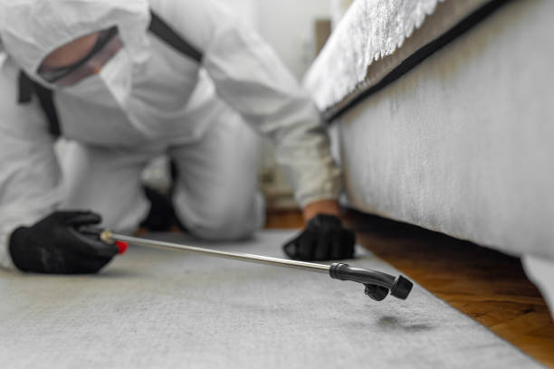 Professional Cockroach Control technician working in McLean County County, IL
